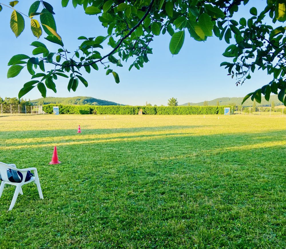 terrain éducation canine chenil de la rochette